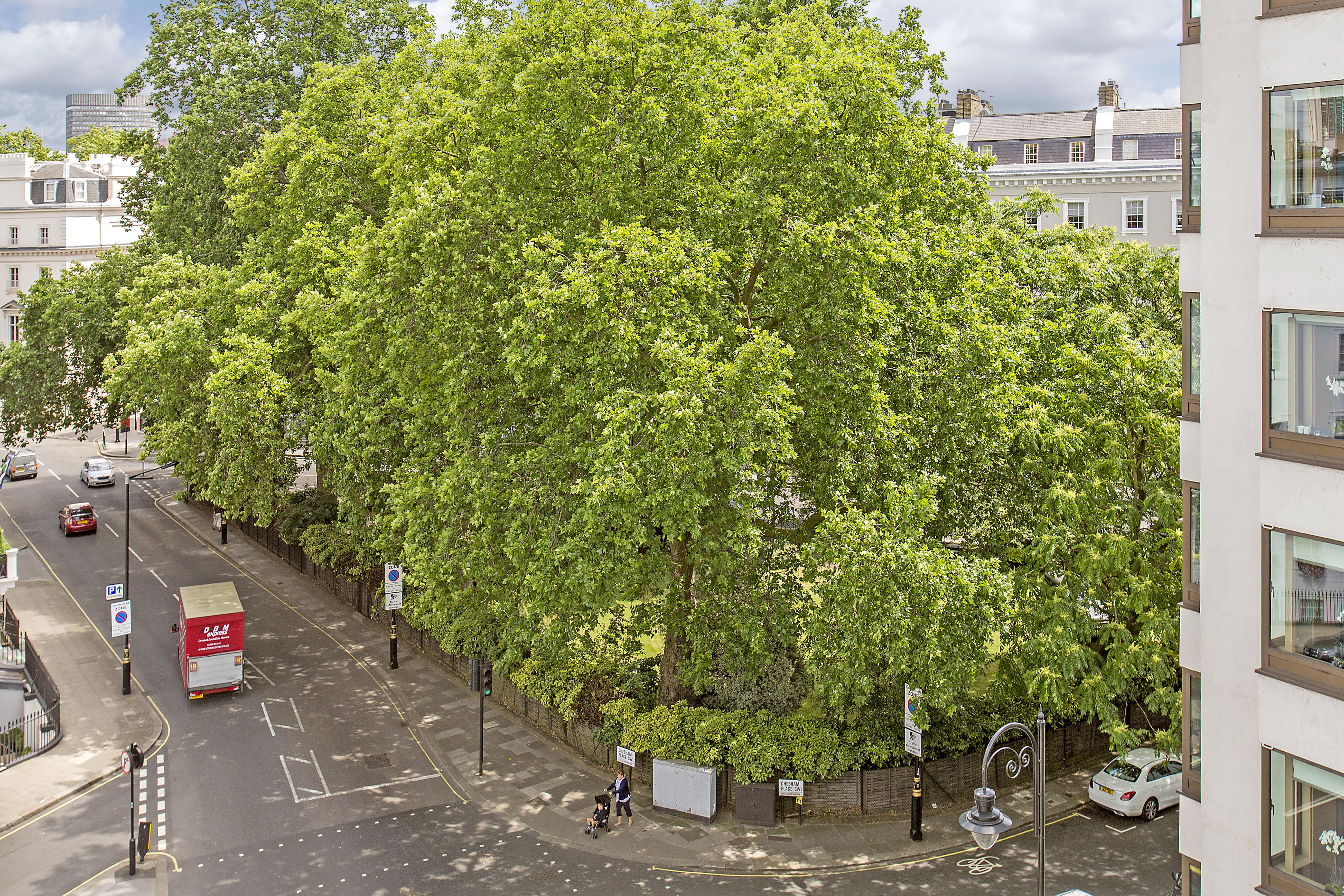 Chesham Court Knightsbridge Lejlighedshotel London Eksteriør billede